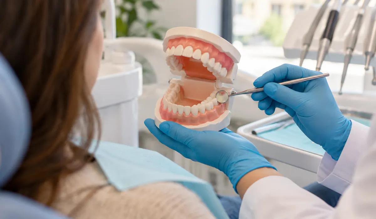 Consulta y diagnóstico dental explicados con modelo anatómico de dientes y espejo bucal.